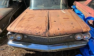 How About That: 1960 Pontiac Catalina Safari Parked in Bush Still Runs and Drives