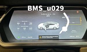 How Much Does a Tesla Model S Replacement Battery Cost After the Dreaded BMS_u029 Error?