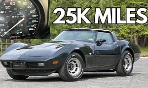 How Rare Is It? 1979 Chevy Corvette With Only 25K Miles Promises the Whole Nine Yards