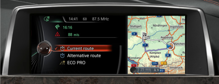 BMW Navigation Professional