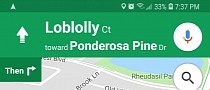 How to Use Google Maps Like a Boss