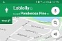 How to Use Google Maps Like a Boss