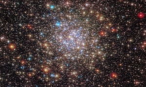 Hubble Image of a Milky Way Globular Star Cluster Shows Heaven's Fireworks