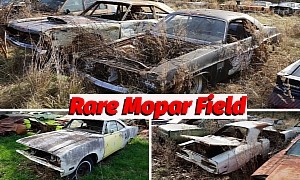 Huge Farm Field Is Packed With Mopar Muscle Cars, Rare Gems Included