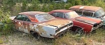 Huge Field Junkyard Is Loaded with Sad Muscle Cars Waiting for a Second Chance