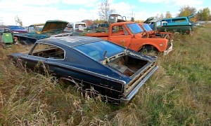Huge Field Junkyard Is Packed with Rusty Classics, Many Chevrolet Impalas