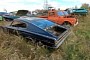 Huge Field Junkyard Is Packed with Rusty Classics, Many Chevrolet Impalas