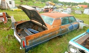 Huge Junkyard Packed with Legendary Fords and Chevys Is Sad Yet Amazing