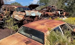 Huge Texas Junkyard Is Home to Thousands of Classics, Big Stash of Muscle Cars Included