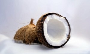 Hydrogen Cars to Benefit from Coconut Kernels