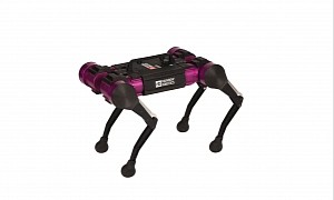 Hyundai and Samsung to Pit Robotic Dogs Against Each Other