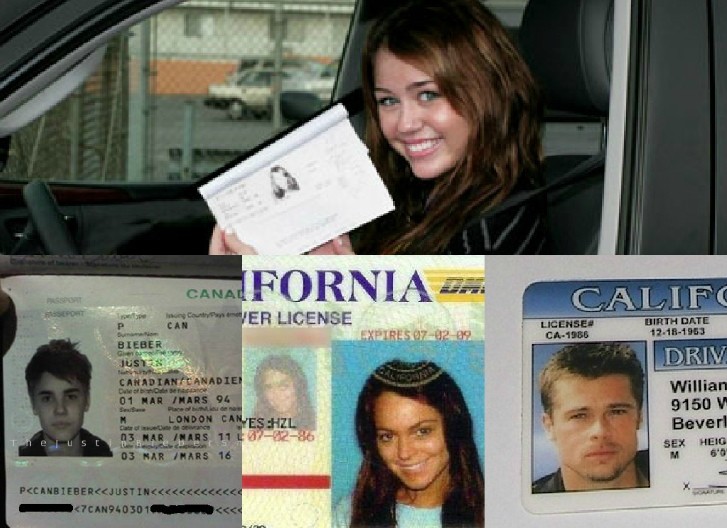Celebrities' Driver's License mugshots