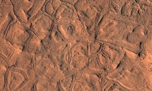 If You Look Close Enough, These Martian Polygons Look Like the Remnants of an Ancient City