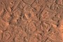 If You Look Close Enough, These Martian Polygons Look Like the Remnants of an Ancient City