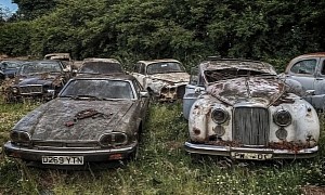 Incredible Stash of Classic Jaguars Discovered by Chance Is Beyond Hope, Still Beautiful