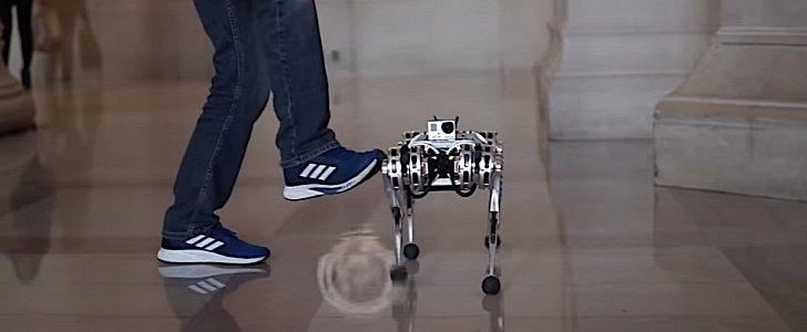 MIT Mini Cheetah robot