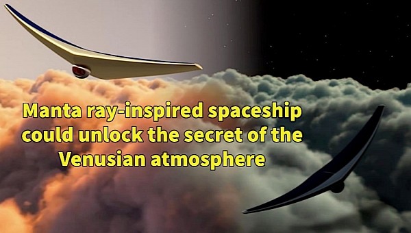 Bioinspired Ray for Extreme Environments and Zonal Exploration spaceship