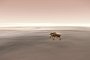 InSight Mars Landing to Air Live on November 26