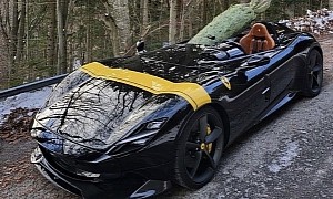 Invisible Driver Carries Christmas Tree in a Ferrari Monza SP2