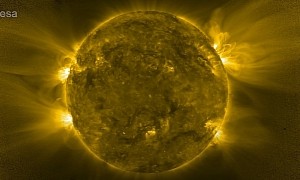 Invisible Solar Hedgehog Reveals Itself in Extremely Detailed Videos of Our Sun