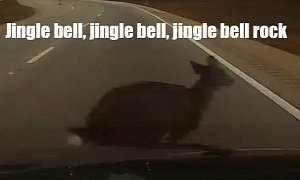 Ironic: Listening to Jingle Bells While Almost Running Over a Deer