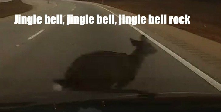Ironic: Listening to Jingle Bells While Almost Running Over a Deer