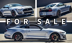 Is This 2022 Ford Mustang Shelby GT500 Heritage Edition Worth Two New Dark Horses?