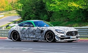 Is This the Mercedes-AMG GT R Black Series Or GT R Evo?