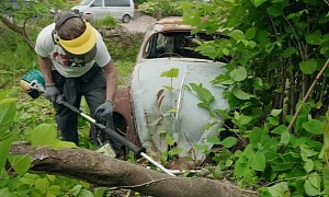 It Took More Than Gardening to Rescue This Rare 1957 Oval Window Beetle Out of a Thicket
