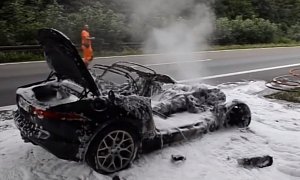 Jaguar F-Type Burns to a Crisp on the Autobahn