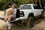 Jake Paul Gets a RAM 1500 TRX for His Birthday, Compares It With Porsche and Corvette