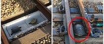 Japan Railway Builds Turtle Tunnels to Save Them, Prevent Accidents