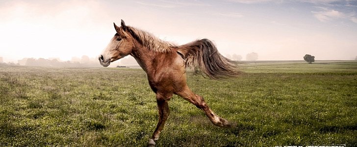 Jeep Print Ad Makes Front of Front-Wheel Drive SUVs with 2-Legged Horse and Lion