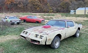 Junkyard Find: Two 1981 Pontiac Trans Ams, One Original Engine, Not That Bad