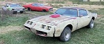 Junkyard Find: Two 1981 Pontiac Trans Ams, One Original Engine, Not That Bad