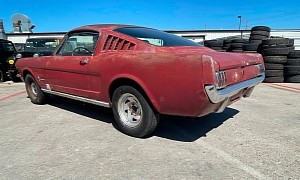 Junkyard Sensation: 1965 Ford Mustang Fastback Is an Unexpected Find Full of Surprises