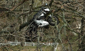 Just a Motorbike Stuck in a Tree