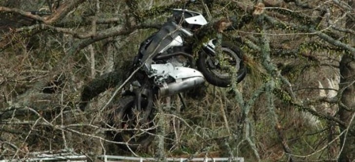 Motorbike in tree