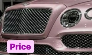 Katie Price Building Her Car Collection Amid Driving Ban, Plans to Buy Pink Bentley