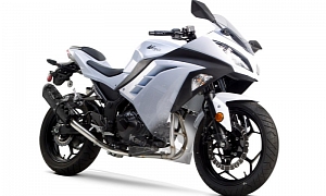 Kawasaki Ninja 300 Receives Two Brothers M-2 Exhaust, More HP and Less Weight