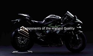 Kawasaki Ninja H2 Has Race-Grade Components