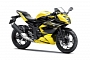 Kawasaki Shows New 250cc Ninja, Only for Asian Markets