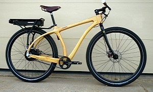 Kevlar, Wood, and Resin Give Rise to the American-Born e-Woody: A Different Kind of E-Bike