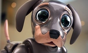 Kia's Next Super Bowl Spot Features Cutest Robo Dog Anyone Has Ever Seen