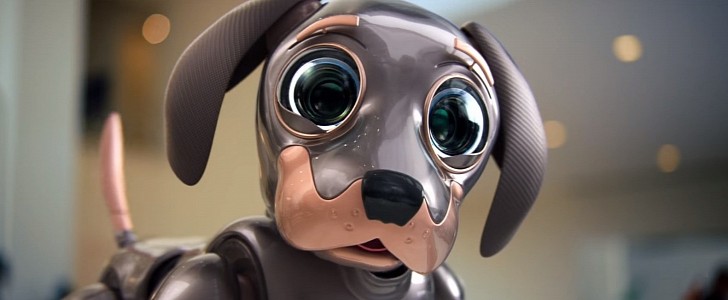 Robo Dog in Kia commercial