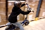 Kid Learns How Fast Electric Bikes Can Accelerate
