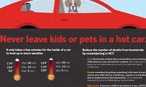 Kids Are Still Dying: People Need to See that Cars Act as Ovens in the Sun