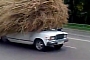 Lada Carries Huge Stork’s Nest On Its Roof in Russia