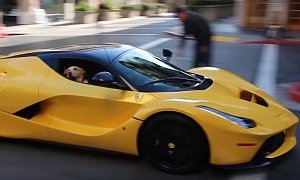 LaFerrari Dog Is the Luckiest Pet in the World