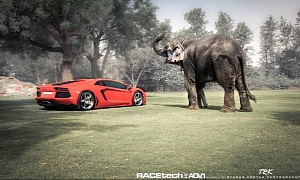 Lamborghini Aventador Gets ADV.1 Wheels and... Elephant